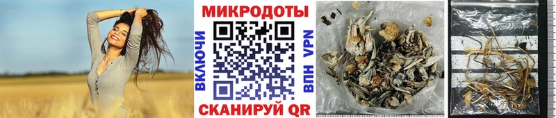 Псилоцибиновые грибы мицелий  Купить где  Дубовка 